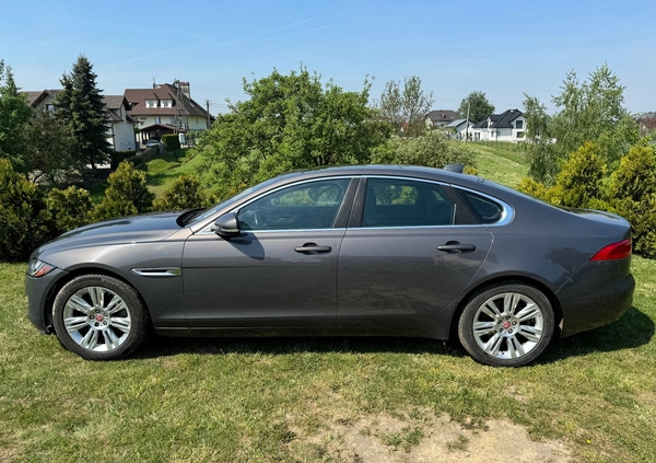 Jaguar XF cena 48900 przebieg: 70382, rok produkcji 2016 z Szczecinek małe 667